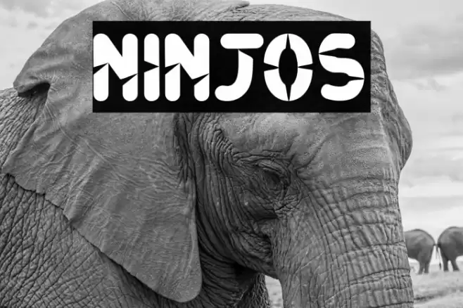 Ninjos Шрифта examples