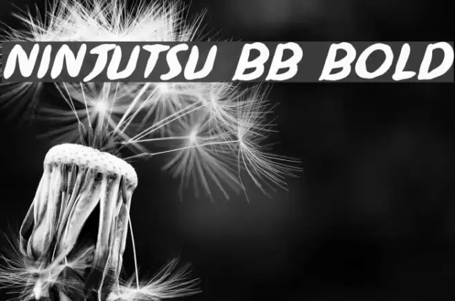 Ninjutsu BB Bold Font examples