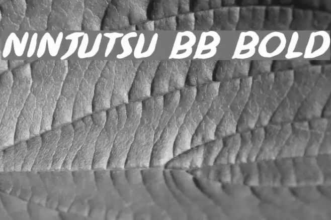 Ninjutsu BB Bold Font examples