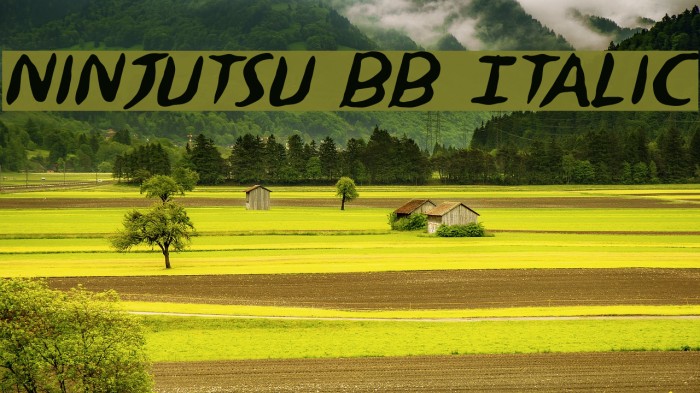 Ninjutsu BB Italic Font examples