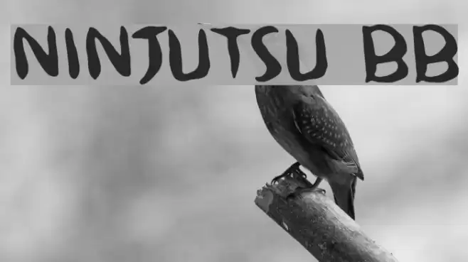 Ninjutsu BB Font examples
