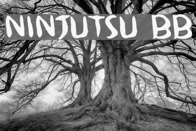 Ninjutsu BB Font examples