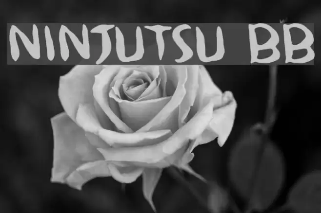 Ninjutsu BB Font examples