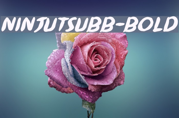 NinjutsuBB-Bold Font examples