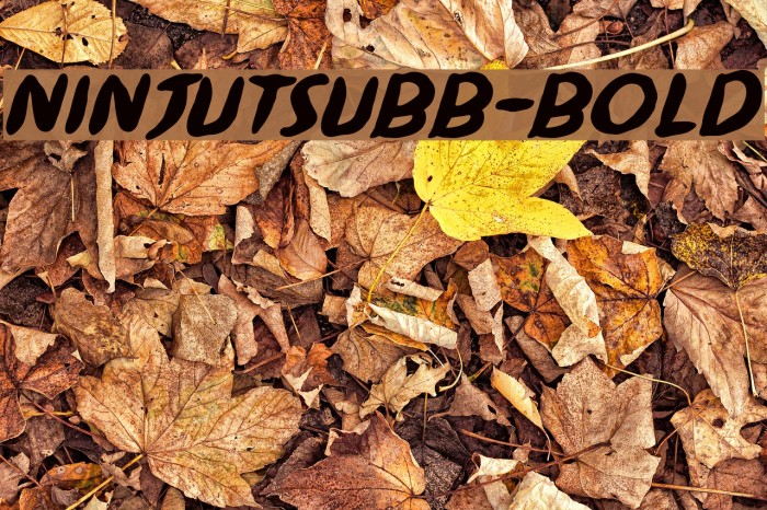 NinjutsuBB-Bold Font examples