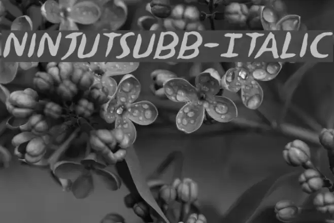 NinjutsuBB-Italic Font examples