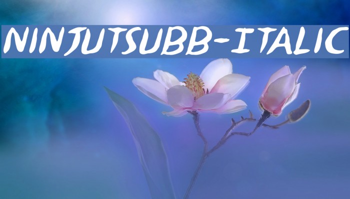 NinjutsuBB-Italic Font examples