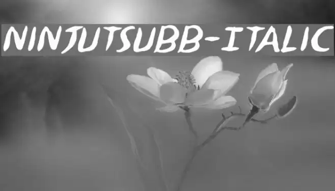 NinjutsuBB-Italic Font examples