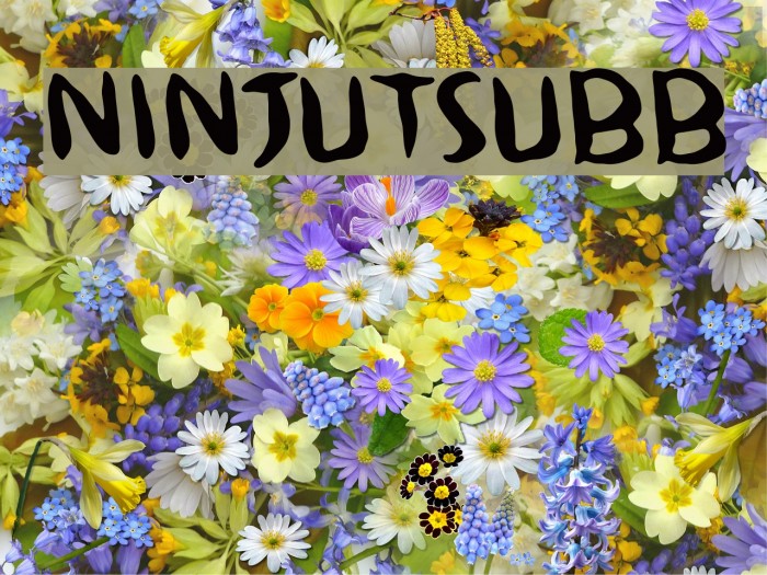 NinjutsuBB Example 2