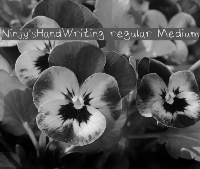Ninjy'sHandWriting regular Medium Example 1