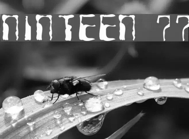 Ninteen 77 Font examples