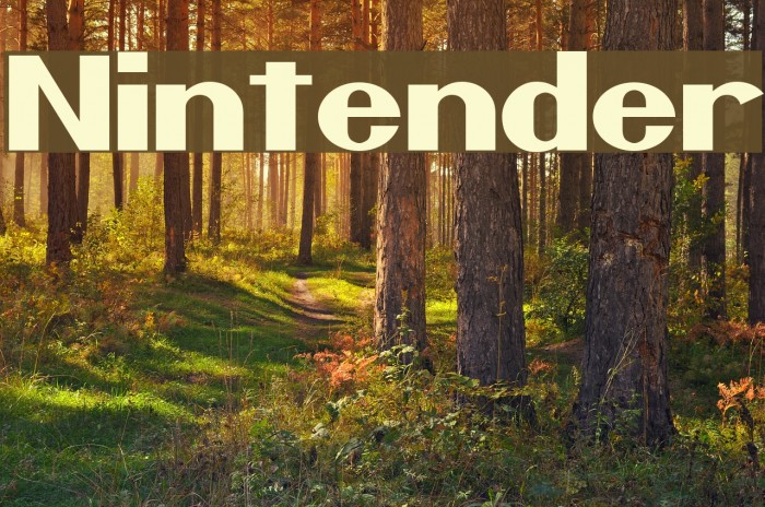 Nintender Font examples