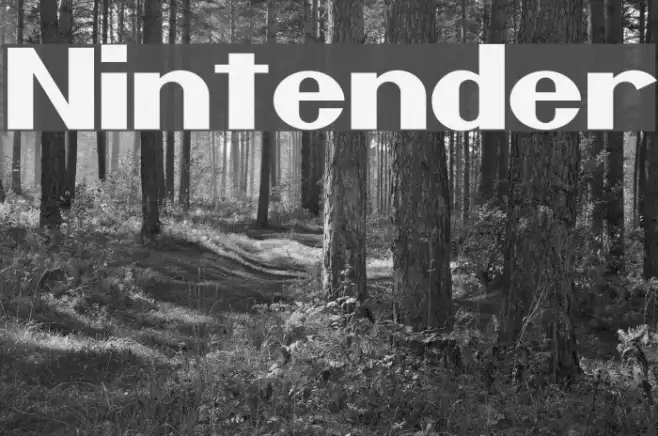 Nintender Example 1