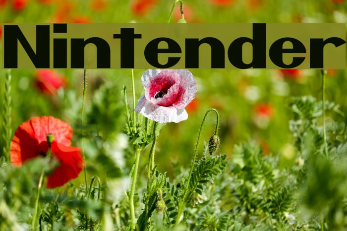Nintender Font examples