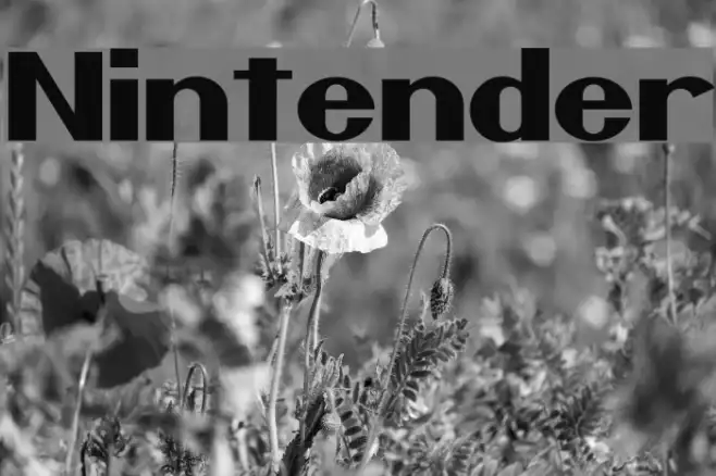 Nintender Example 2