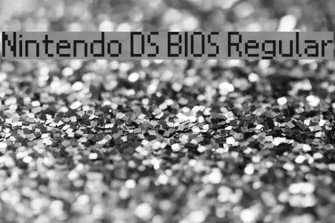 Nintendo DS BIOS Regular Example 1
