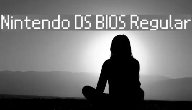 Nintendo DS BIOS Regular Example 2