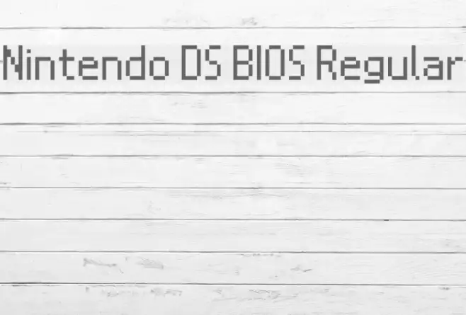 Nintendo DS BIOS Regular Example 3