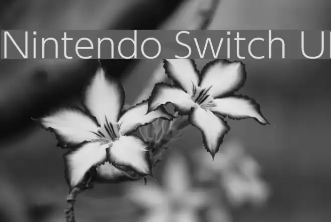 Nintendo Switch UI Font examples