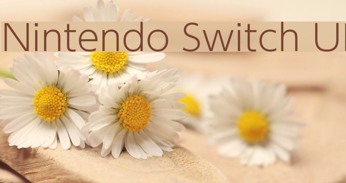 Nintendo Switch UI Font examples