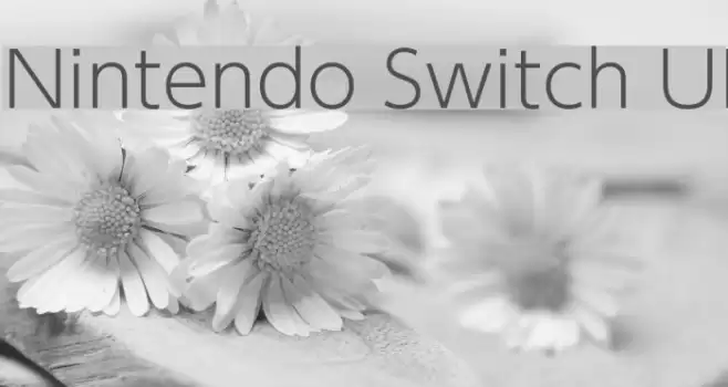 Nintendo Switch UI Font examples