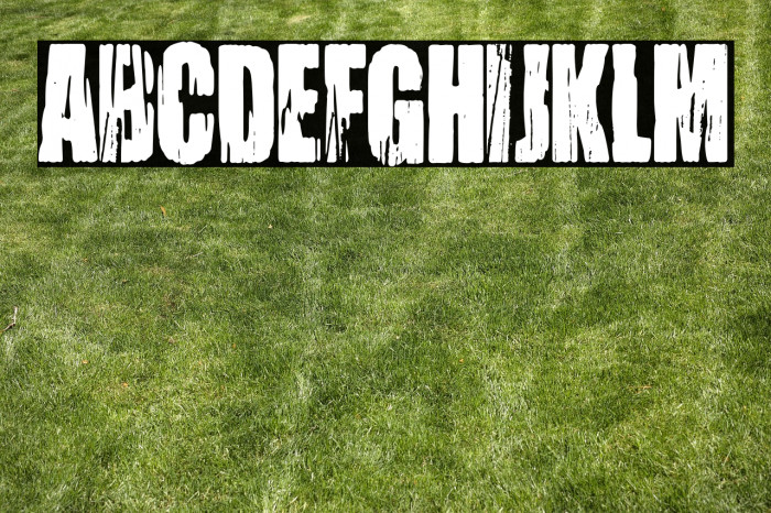 Niño Prodigio Example 1