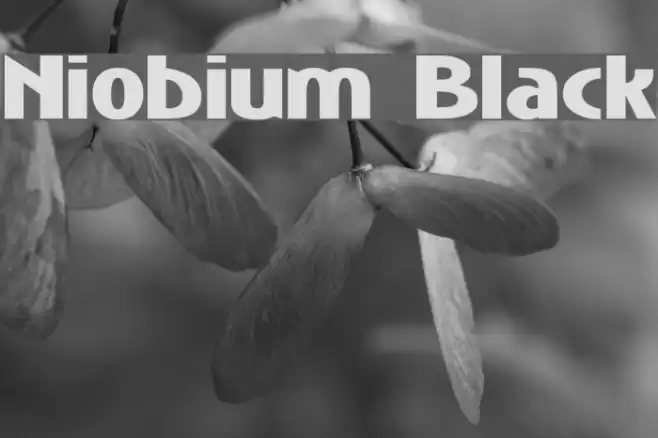 Niobium Black Schriftart examples