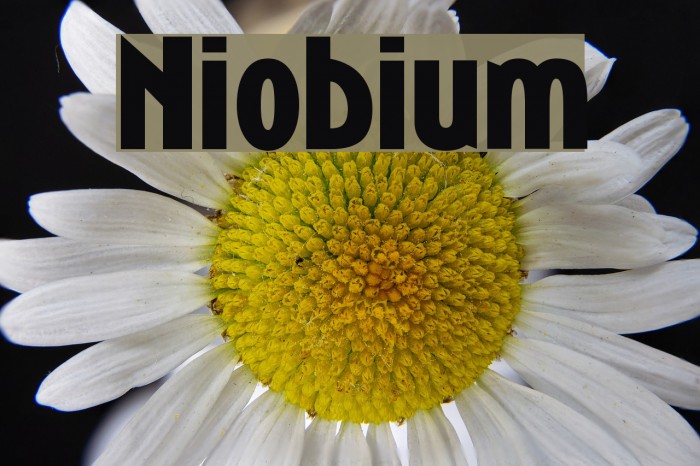 Niobium Font examples