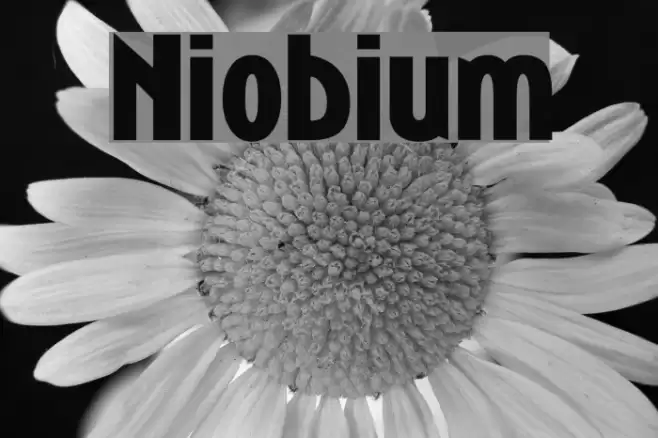 Niobium Font examples
