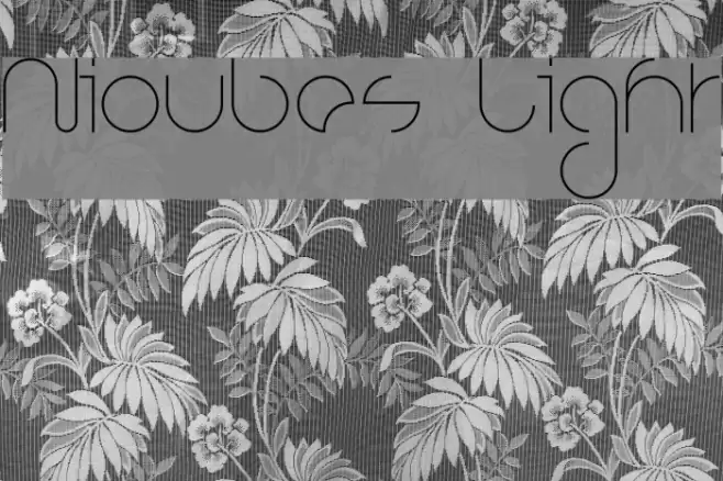 Nioubes Light Font examples