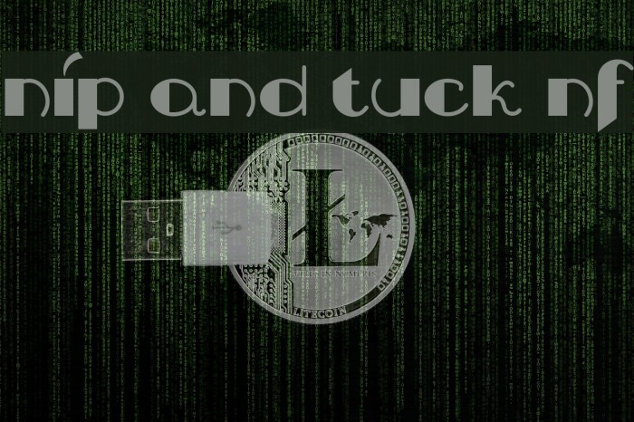 Nip And Tuck NF Fuentes examples