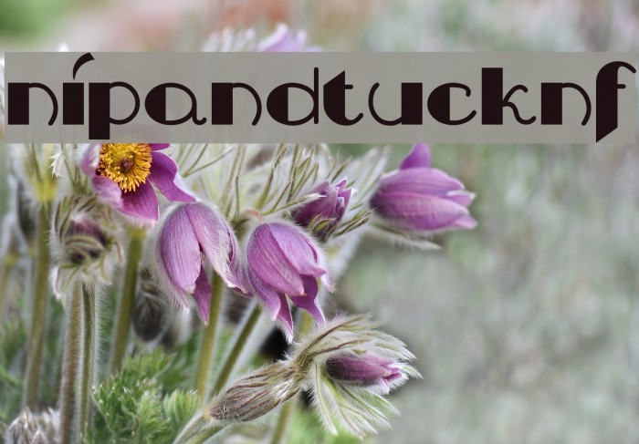 NipAndTuckNF Example 2