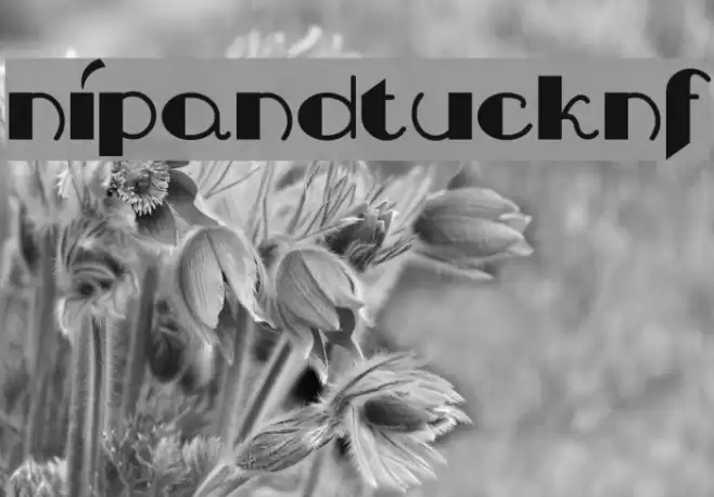 NipAndTuckNF Font examples