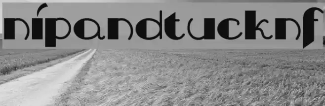 NipAndTuckNF Font examples