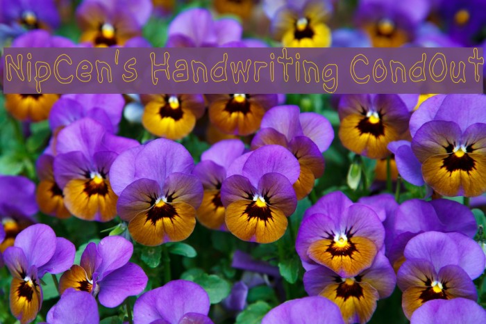 NipCen's Handwriting CondOut Schriftart examples