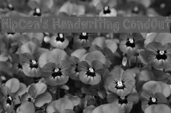 NipCen's Handwriting CondOut Schriftart examples