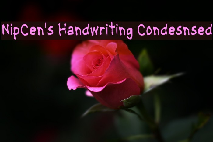 NipCen's Handwriting Condesnsed Example 3