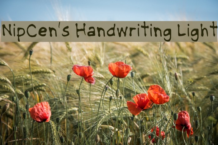 NipCen's Handwriting Light Font examples