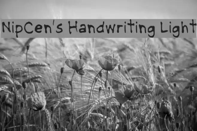 NipCen's Handwriting Light Font examples