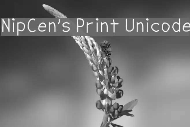 NipCen's Print Unicode Font examples