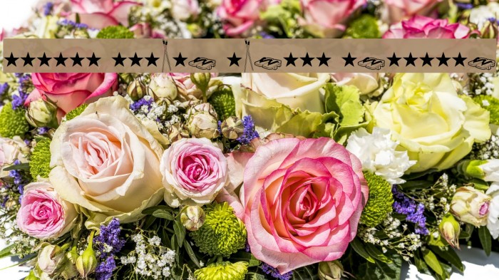 Nippon Noodle [demo] fenotype Example 2