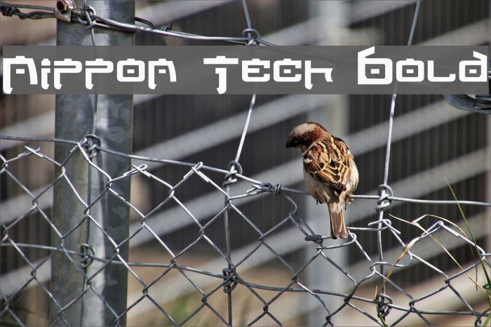 Nippon Tech Bold Font examples