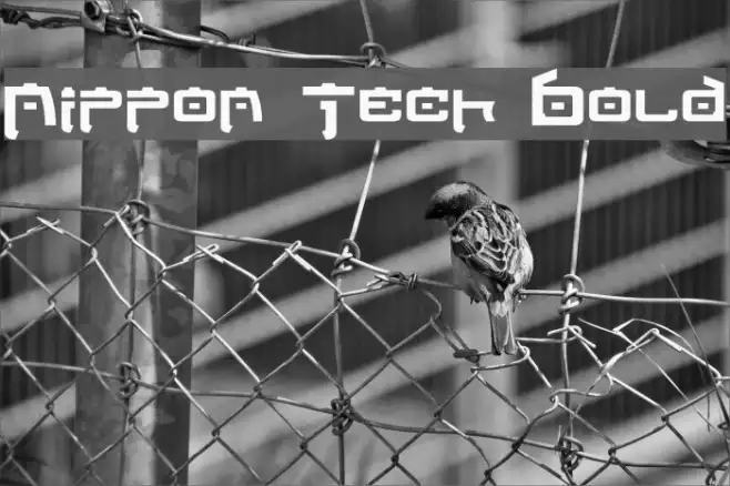 Nippon Tech Bold Example 1