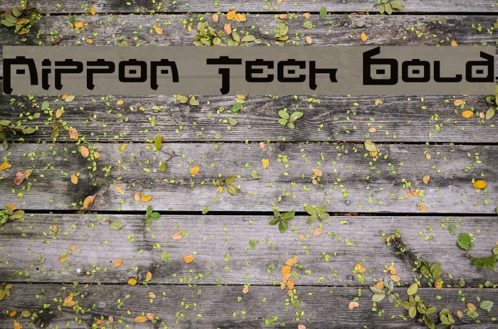 Nippon Tech Bold Font examples