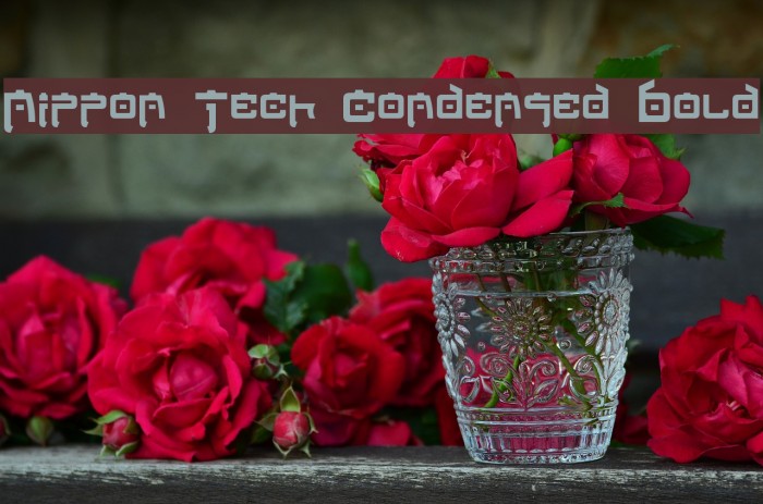 Nippon Tech Condensed Bold Example 2