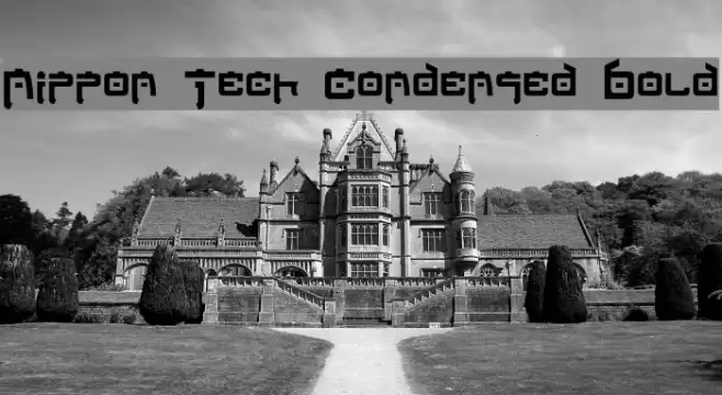 Nippon Tech Condensed Bold Font examples
