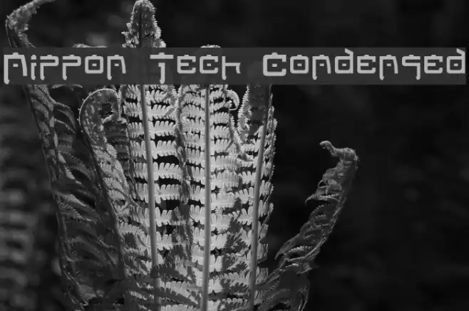 Nippon Tech Condensed Example 1