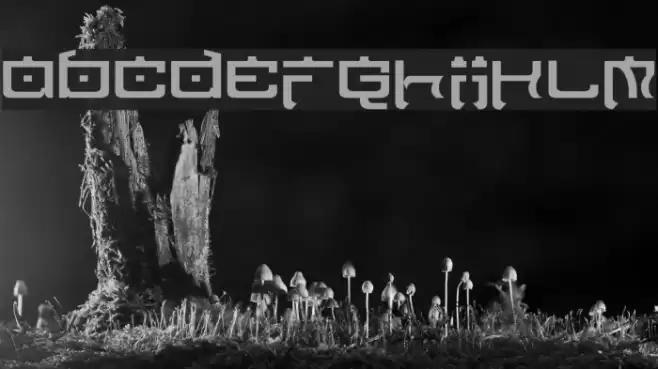 Nippon Tech Normal Font examples