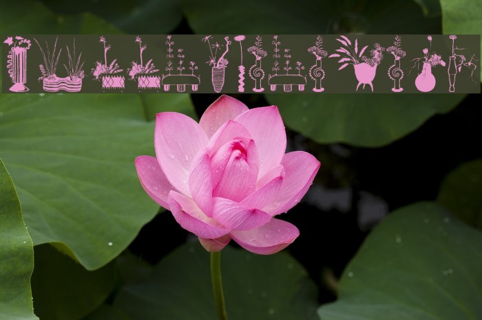 NipponFlorales Example 1