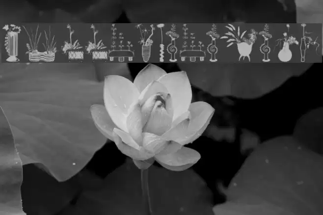 NipponFlorales Font examples